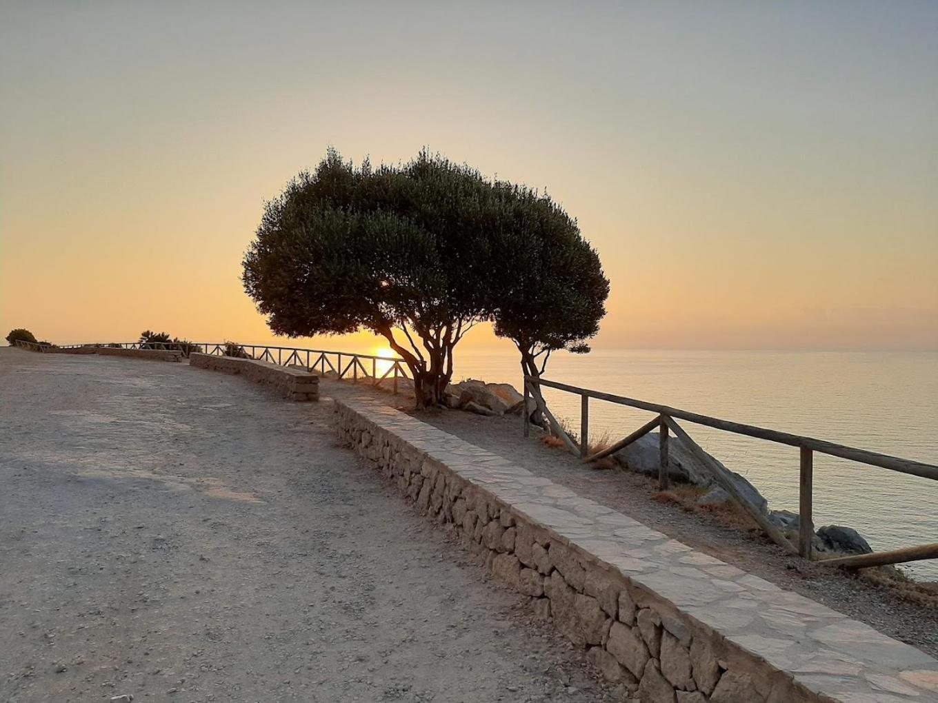 Paradise In Font Nova